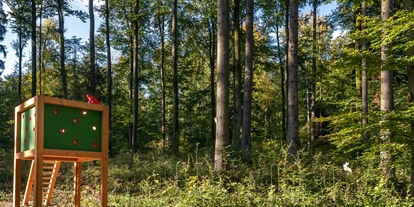 Ausflug mit Kindern - Ausflugsziel ist: ein Naturerlebnis - Baden-Württemberg - Erlebnispfad Eibenwald 