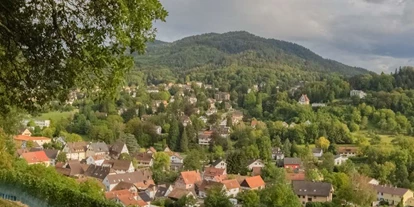 Ausflug mit Kindern - Ausflugsziel ist: ein sehenswerter Ort - Schallbach (Landkreis Lörrach) - Burg Baden