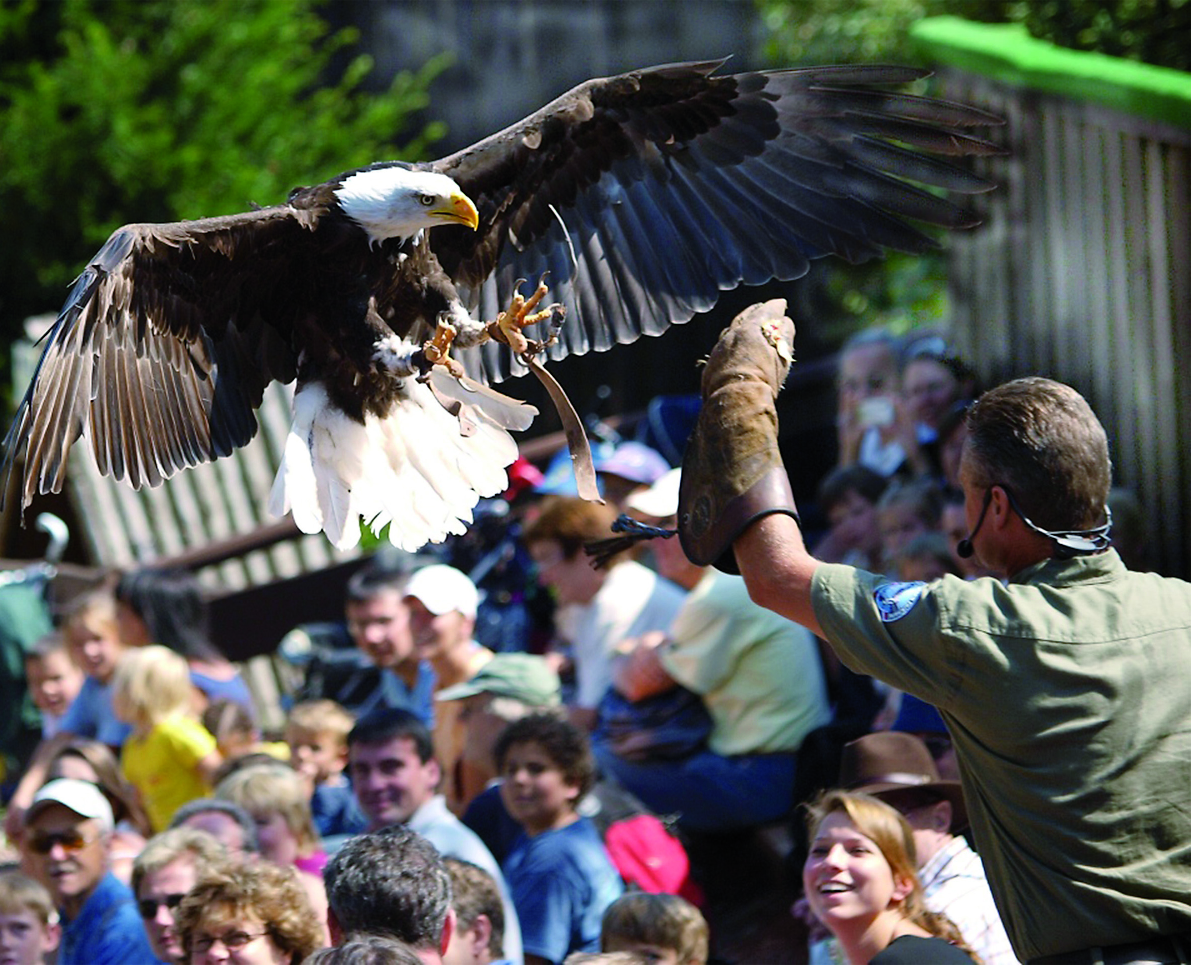 Excursiebestemming - Vogelpark Steinen