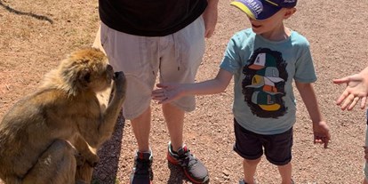 Ausflug mit Kindern - Ausflugsziel ist: ein Zoo - Vogelpark Steinen
