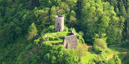 Ausflug mit Kindern - Ausflugsziel ist: ein Aussichtspunkt - Schwarzwald - Burg Husen
