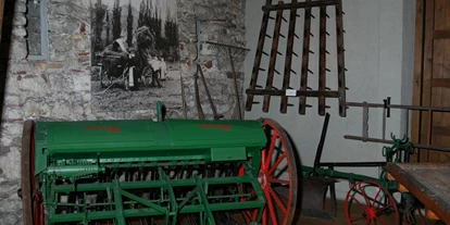 Ausflug mit Kindern - Ausflugsziel ist: ein Museum - Schallbach (Landkreis Lörrach) - Landwirtschaftsmuseum