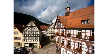 Ausflug mit Kindern - Witterung: Wind - PLZ 72818 (Deutschland) - Fachwerkrathaus - spätmittelalterliches Rathaus