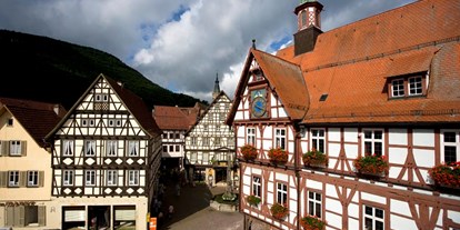 Ausflug mit Kindern - sehenswerter Ort: Ruine - Trochtelfingen - spätmittelalterliches Rathaus