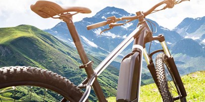 Ausflug mit Kindern - Ausflugsziel ist: ein Naturerlebnis - Sinzheim - FatStevens - E-Fatbike und Mountainbike Verleih