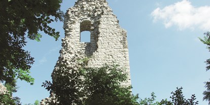 Ausflug mit Kindern - sehenswerter Ort: Ruine - Trochtelfingen - Burgruine Hohenstein