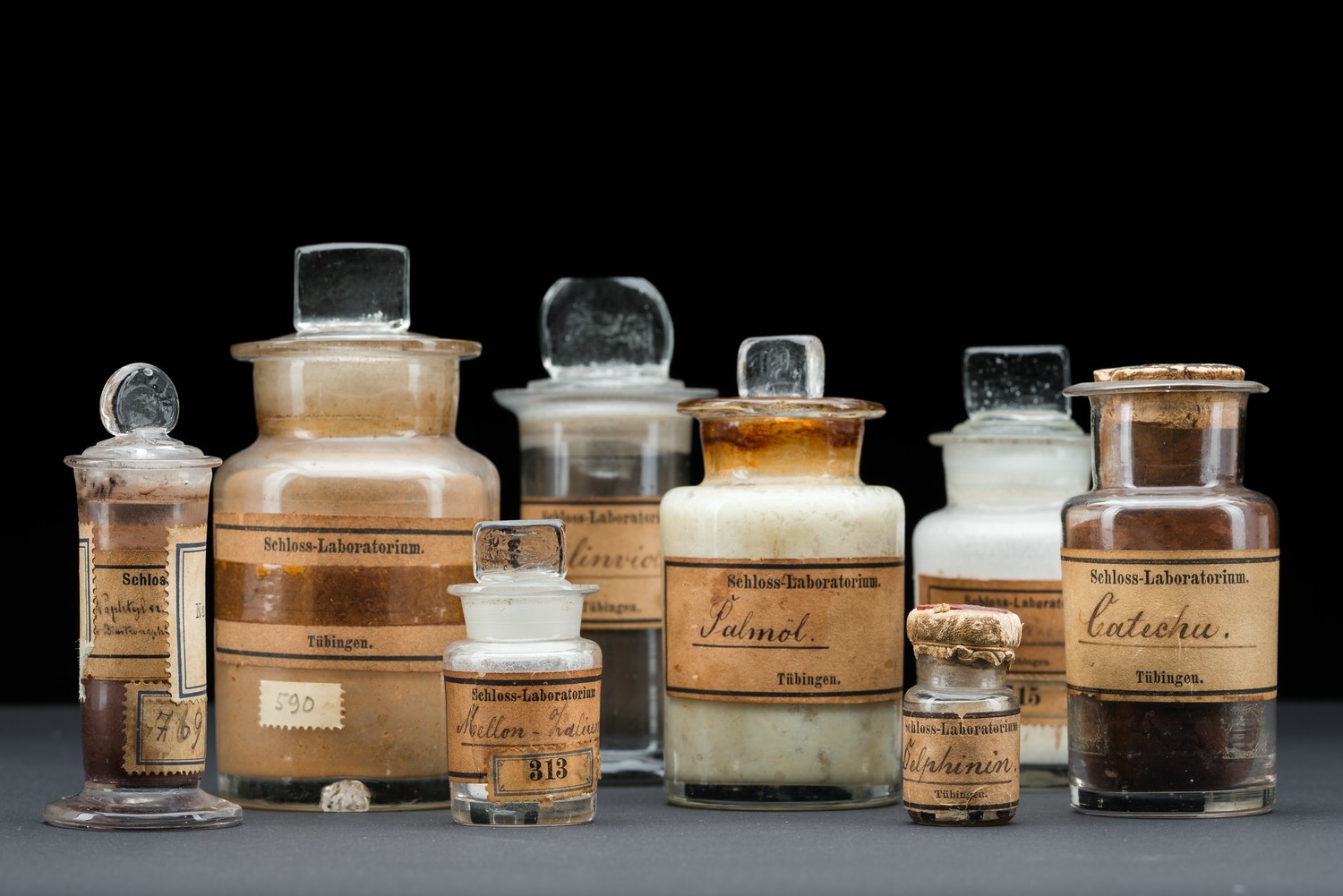 Destinazione dell'escursione - Historische Präpartate aus dem Schlosslabor Tübingen. - Museum der Universität Tübingen MUT | Schlosslabor