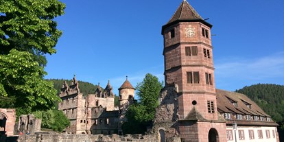 Ausflug mit Kindern - öffentliche Verkehrsmittel - Bad Liebenzell - Kloster Hirsau