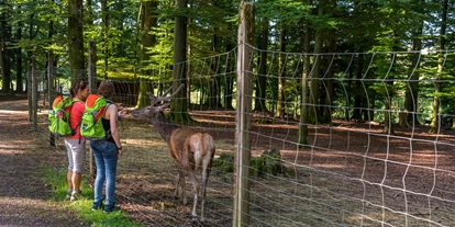 Ausflug mit Kindern - Ausflugsziel ist: ein Tierpark - Deutschland - Mit speziellem Futter können manche Tiere gefüttert werden - Wildgehege Waldshut
