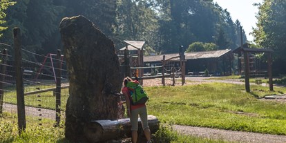 Ausflug mit Kindern - Albbruck - Am Brunnen läuft erfrischendes Trinkwasser - Wildgehege Waldshut