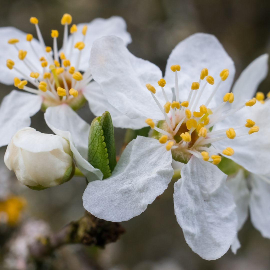 Destinazione dell'escursione - Symbolbild für Ausflugsziel Altes Wasserschloss Helmstadt. Keine korrekte oder ähnlich Darstellung! - Altes Wasserschloss Helmstadt
