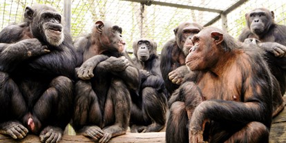 Ausflug mit Kindern - Ausflugsziel ist: ein Zoo - Leintalzoo