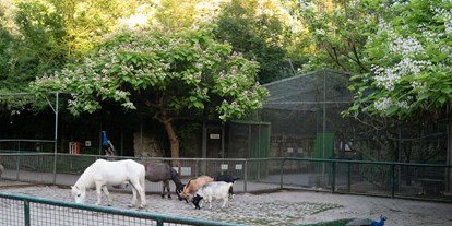 Ausflug mit Kindern - Ausflugsziel ist: ein Zoo - Leintalzoo