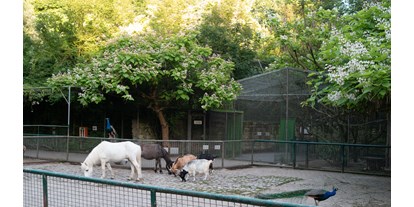 Ausflug mit Kindern - Ausflugsziel ist: ein Tierpark - PLZ 71717 (Deutschland) - Haustieranlage - Leintalzoo