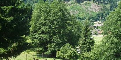 Ausflug mit Kindern - Umgebungsschwerpunkt: Berg - Schallbach (Landkreis Lörrach) - Wildgehege in Zell im Wiesental, Ortsteil Schwarznau (Damwild, Rotwild, Schwarzwild),  - Wildgehege - Zell im Wiesental