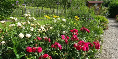 Ausflug mit Kindern - Umgebungsschwerpunkt: Land - Sonnenbühl - Lehr- und Schaugarten Obst, Blumen, Kräuter