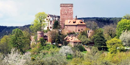 Ausflug mit Kindern - Urspringen - Burg und Burgpark Gamburg ob der Tauber
