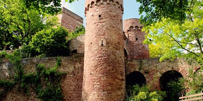Ausflug mit Kindern - Ausflugsziel ist: eine Sehenswürdigkeit - Tauberbischofsheim - Torgraben - Burg und Burgpark Gamburg ob der Tauber