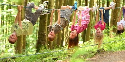 Ausflug mit Kindern - Haslach im Kinzigtal - Wald- und Erlebnispfad Bächlewald