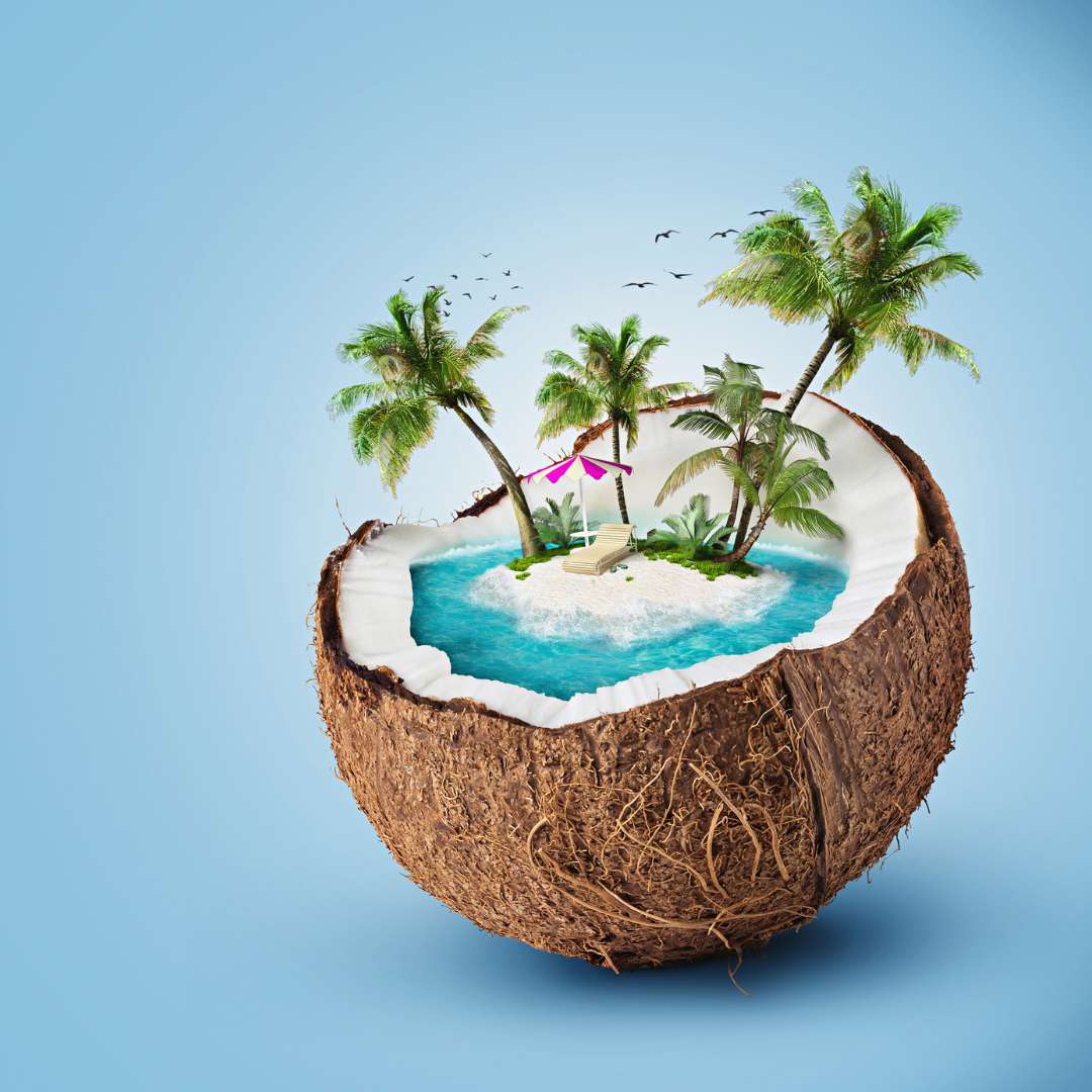 Ausflugsziel - Symbolbild für Ausflugsziel Tropical Islands (Brandenburg). - Tropical Islands