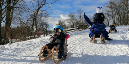 Ausflug mit Kindern - Witterung: Schnee - Grünau im Almtal - Rodelbahn Steinbach