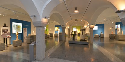 Ausflug mit Kindern - Witterung: Kälte - Aching (Sankt Peter am Hart, Braunau am Inn) - DARINGER Kunstmuseum Aspach