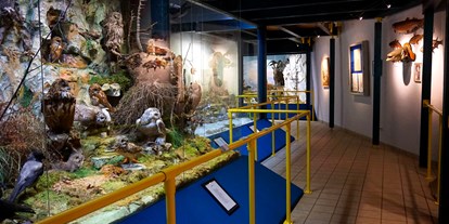 Ausflug mit Kindern - Gußwerk - Naturmuseum Neuberg