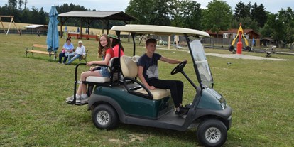 Ausflug mit Kindern - Götzweis - Elektro-Golf-Kart - Kinderparadies Wirtshaus zur Minidampfbahn