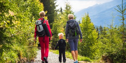 Ausflug mit Kindern - Umgebungsschwerpunkt: Wald - PLZ 5724 (Österreich) - Panorama- und Rutschenweg