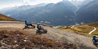 Ausflug mit Kindern - Themenschwerpunkt: Bewegung - PLZ 6351 (Österreich) - Mountaincart-Strecke am Wildkogel