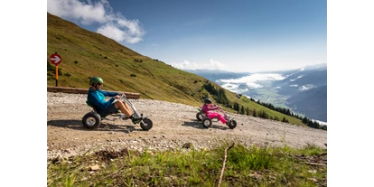 Trip with children - Ausflugsziel ist: eine Bahn - Austria - Mountaincart-Strecke am Wildkogel