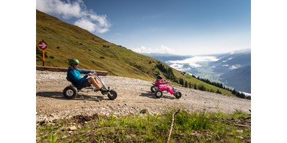 Ausflug mit Kindern - Themenschwerpunkt: Bewegung - PLZ 6351 (Österreich) - Mountaincart-Strecke am Wildkogel