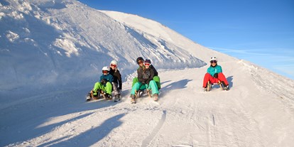 Ausflug mit Kindern - Witterung: Kälte - Österreich - 14 Km lange Rodelbahn am Wildkogel