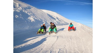 Trip with children - Themenschwerpunkt: Skifahren - Austria - 14 Km lange Rodelbahn am Wildkogel