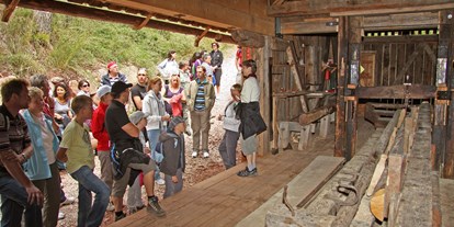 Ausflug mit Kindern - Witterung: Wechselhaft - Trentino-Südtirol - Mühlenensemble im Thal