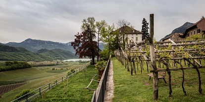 Ausflug mit Kindern - Umgebungsschwerpunkt: See - Italien - Foto: Gerd Eder

Unser Weingarten im Frühling - mit Blick auf den Kalterersee - Südtiroler Weinmuseum
