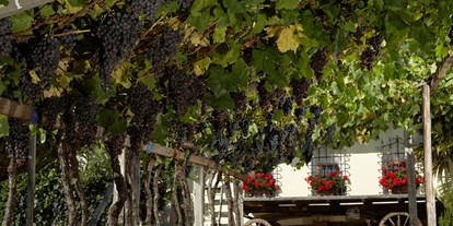 Ausflug mit Kindern - Witterung: Wechselhaft - Aldein - Südtiroler Weinmuseum