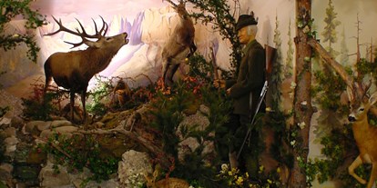 Ausflug mit Kindern - Winterausflugsziel - St. Ulrich - Gröden - Die Tierwelt in Steinegg - Museum Steinegg