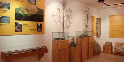 Ausflug mit Kindern - Witterung: Kälte - Obereggen (Trentino-Südtirol) - Ausstellung im GEOMuseum Radein. - GEOMuseum Radein