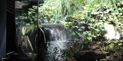 Ausflug mit Kindern - Schatten: vollständig schattig - Schlanders - Teil des 15 m langen Bachaquariums - Nationalparkhaus "aquaprad"