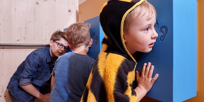 Ausflug mit Kindern - Witterung: Bewölkt - St. Martin in Thurn - Südtiroler Landesmuseum für Volkskunde