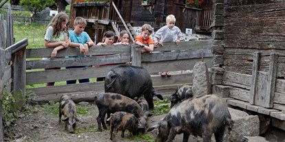 Ausflug mit Kindern - Preisniveau: günstig - Raas (Trentino-Südtirol) - Südtiroler Landesmuseum für Volkskunde