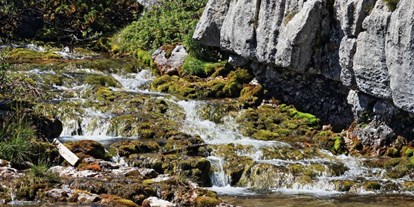 Ausflug mit Kindern - Themenschwerpunkt: Entdecken - Wolkenstein - Gröden - Symbolbild für Ausflugsziel Naturparkhaus Fanes-Sennes-Prags (Trentino-Südtirol). - Naturparkhaus Fanes-Sennes-Prags