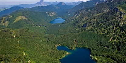 Ausflug mit Kindern - Themenschwerpunkt: Bewegung - Rußbach - Luftbild vom Naturschutzgebiet Hinterer und Vorderer Langbathsee (© Ferienregion Traunsee-Almtal) - Vorderer und Hinterer Langbathsee