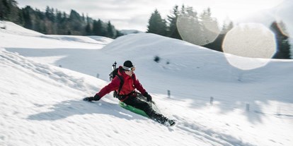 Ausflug mit Kindern - Winterausflugsziel - Roßleithen - Auf dem Rucksack rodelt man bequem und rasch ins Tal zurück - Abenteuer Management - Naturerlebnis pur