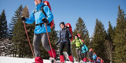 Ausflug mit Kindern - Themenschwerpunkt: Klettern - Oberösterreich - Abenteuer Management - Naturerlebnis pur