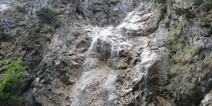 Ausflug mit Kindern - Schatten: überwiegend schattig - Kleinberg (Nußdorf am Haunsberg) - Der Wasserfall in Kreuzstein (c) TVB Mondsee - Irrsee - Über den Wasserfallweg zur Eisenauer Alm