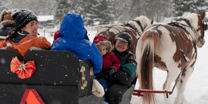 Ausflug mit Kindern - Ausflugsziel ist: ein Naturerlebnis - Kirchschlag bei Linz - Pferdeschlitten- und Pferdekutschenfahrten Familie Reingruber