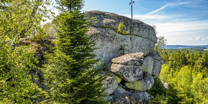 Ausflug mit Kindern - Umgebungsschwerpunkt: Wald - PLZ 3925 (Österreich) - Die Jankusmauer