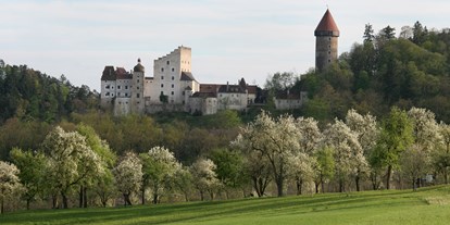 Ausflug mit Kindern - Ausflugsziel ist: ein Aussichtspunkt - Thomastal (Pabneukirchen, Sankt Thomas am Blasenstein, Bad Kreuzen) - Führungen auf Burg Clam